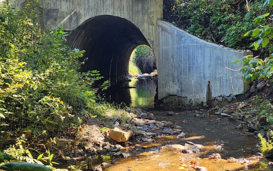 Gore Culvert Design Study