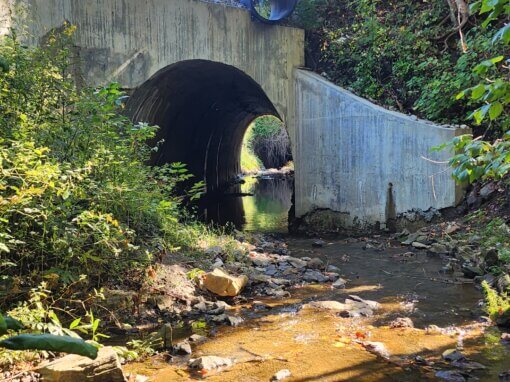 Gore Culvert Design Study